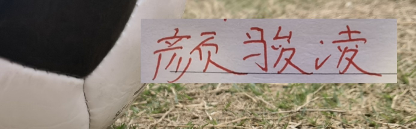 hth-虽然被喀麦隆上课！但中超豪门球员发挥也给力 颜骏凌多次有神扑